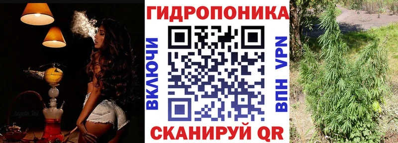 Шишки марихуана конопля  Купить закладки  Нестеров 